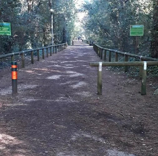 Apartment Casa Doge *